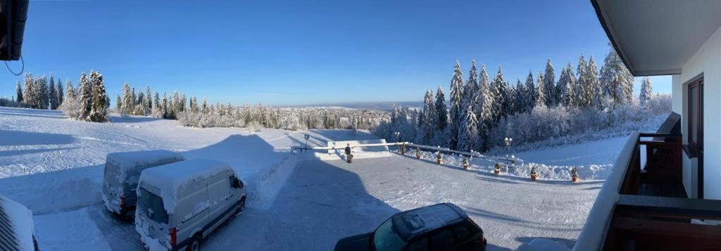 Harmatowka Bed & Breakfast Bukowina Tatrzańska Dış mekan fotoğraf